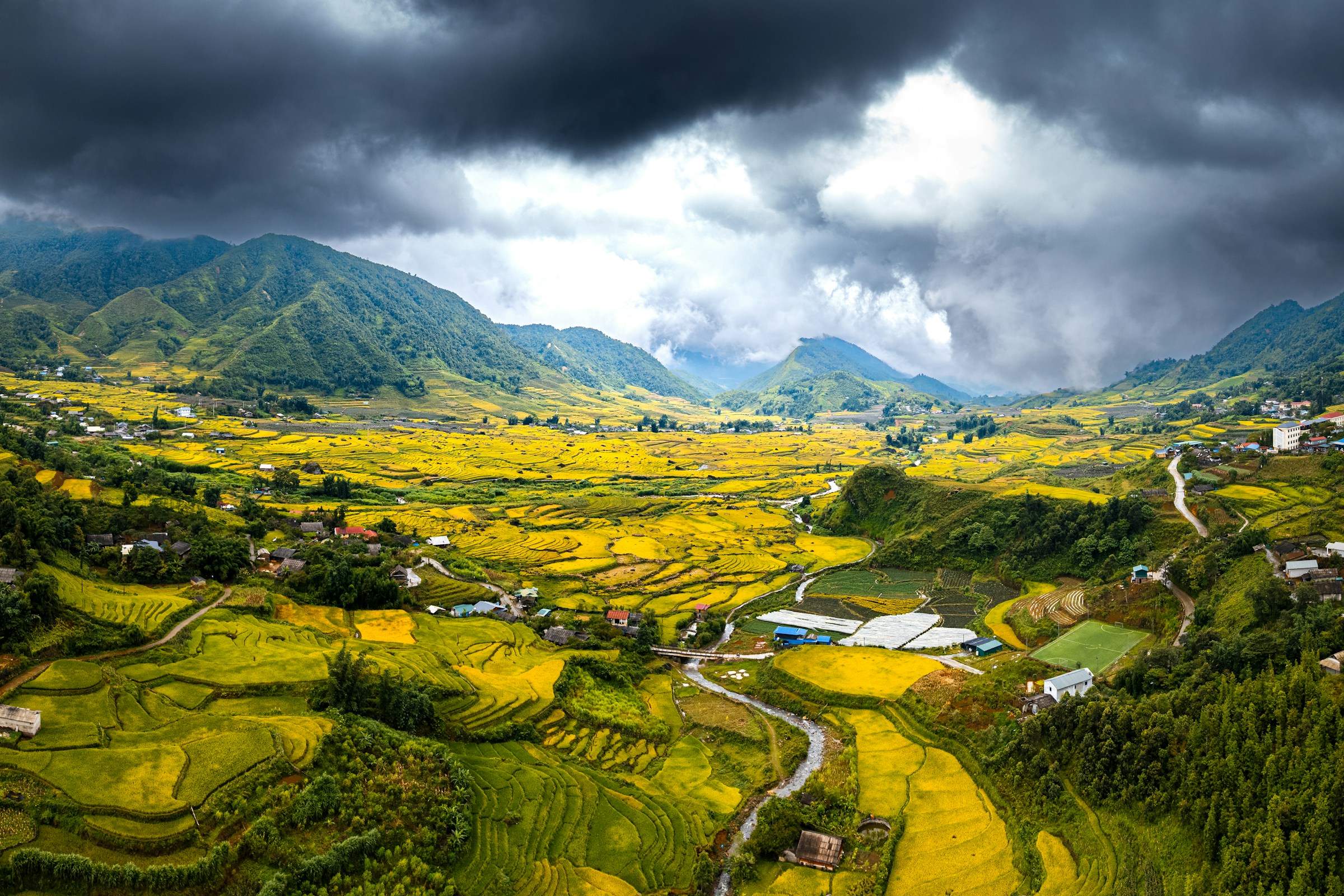 Cảnh đẹp Pha Đin Top mùa thu - Lúa chín vàng